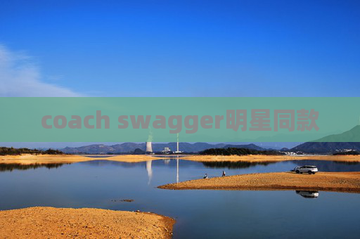 coach swagger明星同款 coach swagger明星同款